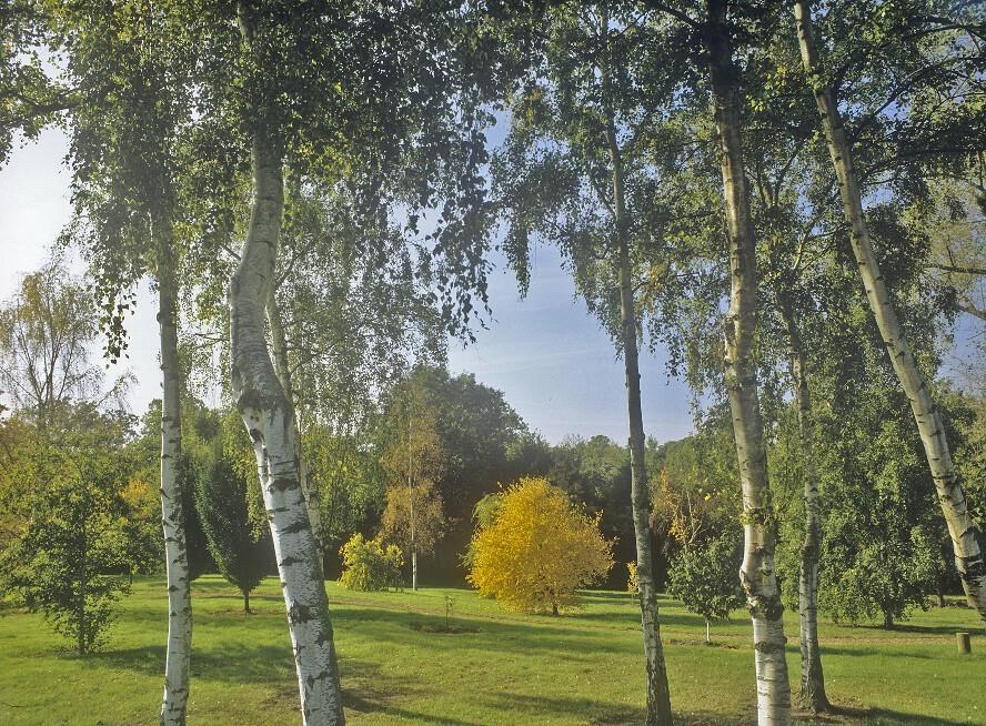 West Lodge Park Барнет Екстериор снимка
